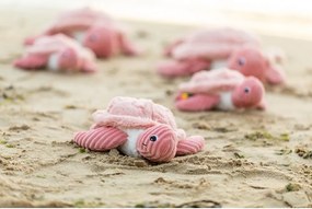 Plüssjáték szett 2 db-os Ptipotos Savenou – Les Deglingos