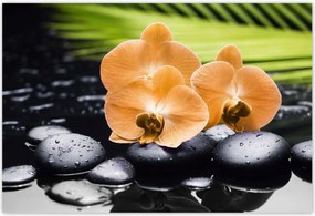 Poszterek 185x125 Narancssárga orchideák