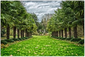 Poszterek 120x80 Tájkép