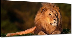 Vászonkép 60x30 Oroszlán