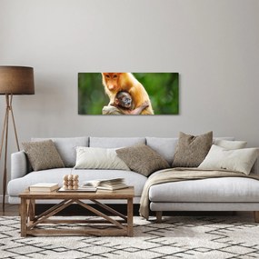 Majom képe (120x50 cm)