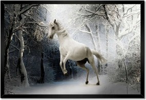 Poszter keretben 60x40 Fehér paripa