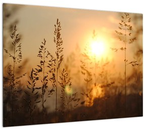 Napkelte képe (70x50 cm)