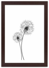 Gario Poszter Rajzolt két pitypang A keret színe: Természetes, Méret: 40 x 60 cm