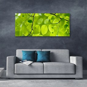 Vászonkép falra Elhagyja Plant 140x70 cm