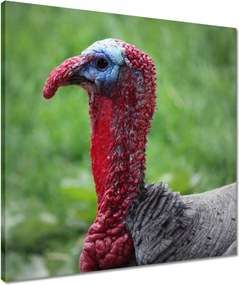 Vászonkép 50x50 Hálaadás ünnepe