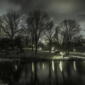 Poszter 20x20cm Central Park éjszaka 2, Assaf Frank