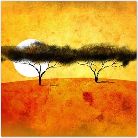 Poszterek 70x70 Esti tájkép