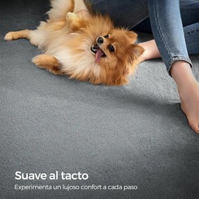 Csúszásmentes szőnyeg, szőnyeg mosógépben mosható, 200 x 290 cm, szürke