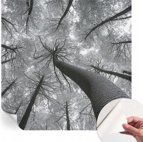 Öntapadós fotótapéta Nappali és Hálószoba Irodába Téli tájkép 250x250