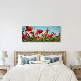 Kép - Pipacsos mező (120x50 cm)