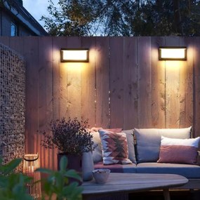 LED Kültéri fali lámpa NEELY 1xE27/9W/230V 4000K IP54 antracit