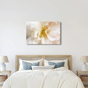 Kép - Virág (90x60 cm)