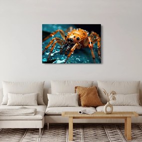 Kép - A pók részlete (90x60 cm)
