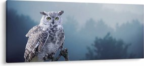 Kép - Hóbagoly (120x50 cm)