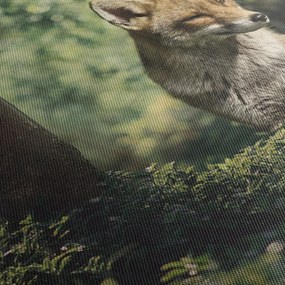 Róka képe (120x50 cm)