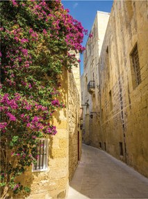 Fotótapéta Utca virágokkal kő vinil 184x254 +ragasztó