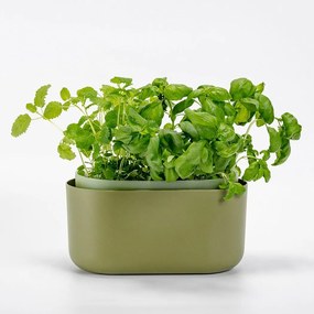 Plastia Tolita önöntöző virágláda, zöld, 31 x 16 cm