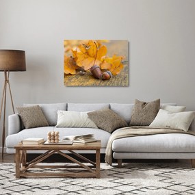 Üveg kép - Őszi makk (70x50 cm)