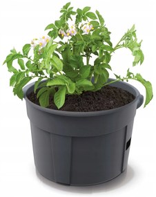 PROSPERPLAST Burgonya edény POTATO GROWER antracit 39,2cm