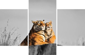 Kép - Tigris és a kölyke, fekete-fehér változat (90x60 cm)