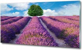 Fotó üveg kép Naplemente hegyek 100x70