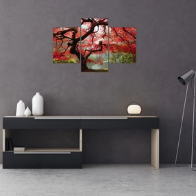 Red Japanese Maple, Portland, Oregon képe (90x60 cm)