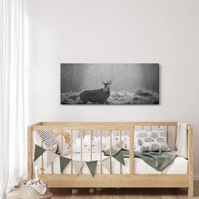 Kép - Szarvas az erdőben, fekete-fehér (120x50 cm)