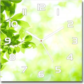 Üveg falióra szögletes Levelek 30x30 cm