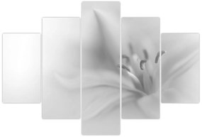 Kép - Delicate Lily (150x105 cm)