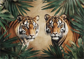 Fotótapéta Tigris Állatok Levelek Hálószoba Nappali Tapéta 312x219