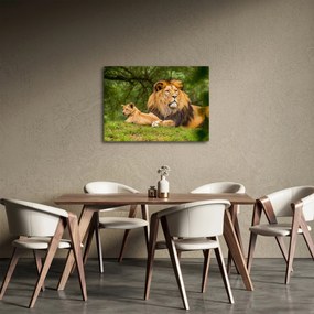 Oroszlánok képe (70x50 cm)