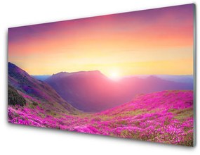 Akrilkép Sun Mountain Meadow Nature 120x60 cm 2 fogas