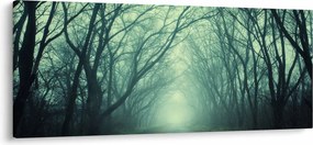 Kép - út a fasorban (120x50 cm)