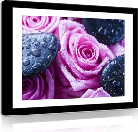 Vászonkép 70x50 Rózsa cseppek kövek frissesség nyugalom virágok csendélet