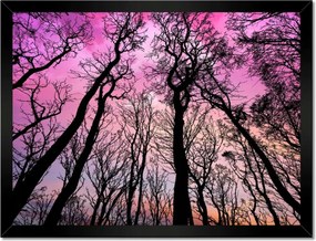 Poszterek keretben 40x30 Tájkép Látvány