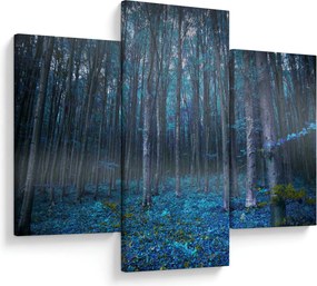 Kép - varázslatos erdő (90x60 cm)