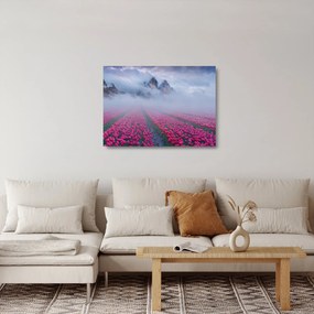 Üveg kép - Tájkép tulipánmezőkkel (70x50 cm)