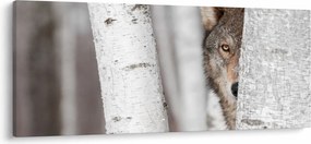 Kép - Farkas (120x50 cm)