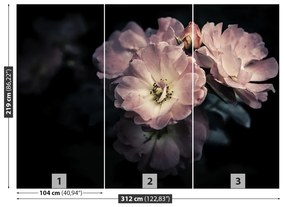 Fotótapéta Rózsaszín rózsa 104x70 cm
