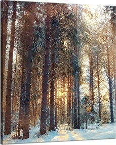 Vászonkép Erdő Tél Hó Fehér Természet 80x100 cm