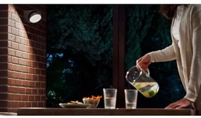 Philips - LED Kültéri fali lámpa MIMOSA LED/7W/230V 4000K IP44