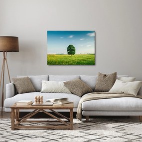 Egy fa képe egy rét közepén (70x50 cm)
