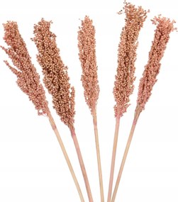 Szárított cirok rózsaszín csokor 5 db-os díszfű váza és dekoráció