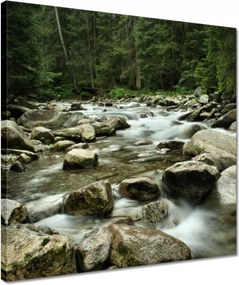 Vászonkép 40x40 Tátra Lengyel hegyek Kilátás