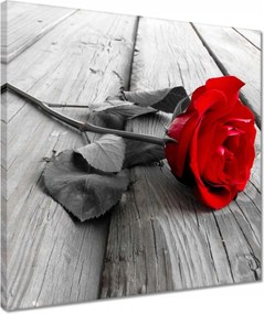 Vászonkép 40x40 Rózsa a hídon