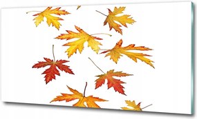 Fotó kép edzett üveg Park ősz 125x50