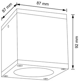Kültéri fali lámpa MORRIS 1xGU10/35W/230V IP54