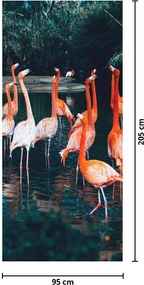 Fotótapéta ajtóra - Flamingócsorda (95x205cm)