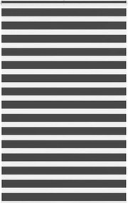 vidaXL zebrafüggönnyel fekete szövetszélesség 145,9 cm poliészter
